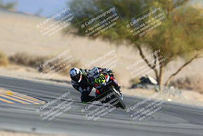 media/Jan-14-2024-SoCal Trackdays (Sun) [[2e55ec21a6]]/Turn 4 Tree of Life (155pm)/